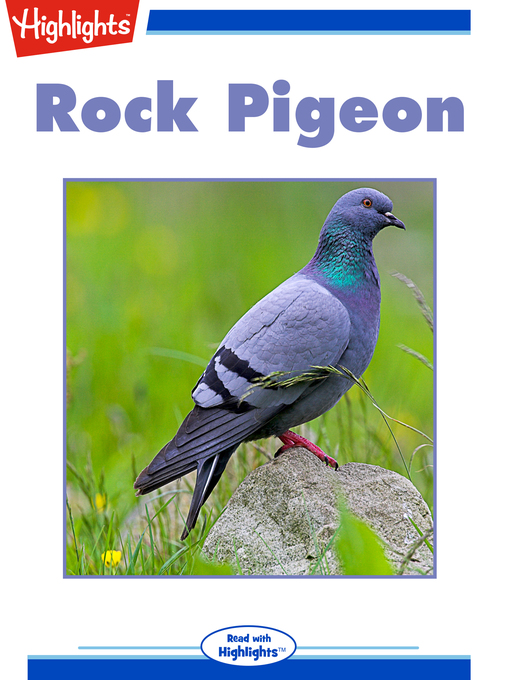 Title details for Rock Pigeon, Bird Parade? by Peter Friederici - Available